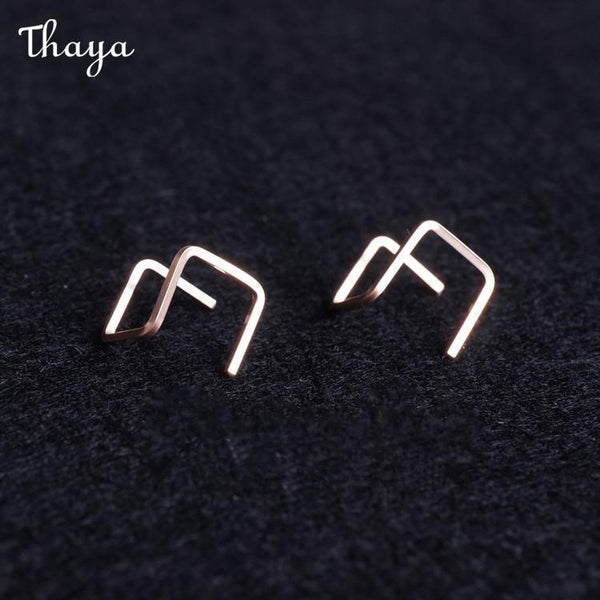 Thaya 925 Silver Simple Geometric Earrings